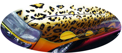 Front Fender Detail